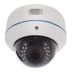 IP видеокамера купольная сетевая ERG-IPH3442(P) антивандальная - интернет-магазин КленМаркет.ру