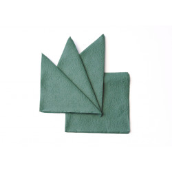 Салфетка бумажная зеленая 330х330 мм 300 шт - интернет-магазин КленМаркет.ру