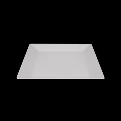 Тарелка квадратная LY'S Horeca 250х250 мм [392516000] - интернет-магазин КленМаркет.ру