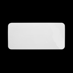 Блюдо прямоугольное 12''х 5,5'' 310х140мм плоское