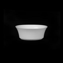 САЛАТНИК 4,75