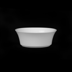 САЛАТНИК 5,5