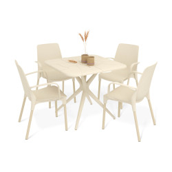 Обеденная группа (1+4) SHT-DS202 (пластик) - интернет-магазин КленМаркет.ру