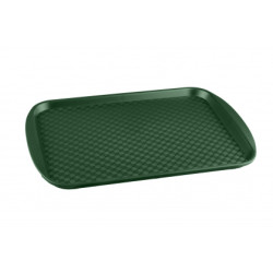ПОДНОС СТОЛОВЫЙ 450х350 зеленый, ПП [422108809] - интернет-магазин КленМаркет.ру