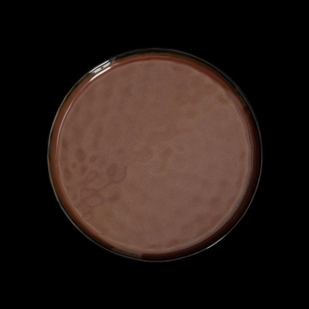 ТАРЕЛКА мелкая 8,75