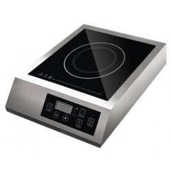 Плита индукционная GASTRORAG TZ-JDL-C30A1 - интернет-магазин КленМаркет.ру