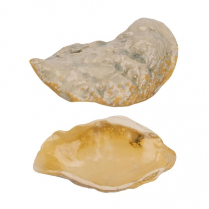 Блюдо для подачи 19,9*8 см h3,8 см Pearl Shell Frutti di Mare - интернет-магазин КленМаркет.ру