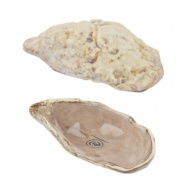 Блюдо для подачи 12,6*6,6 см h3,2 см 15 мл Pearl Shell Frutti di Mare