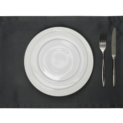 ПЛЕЙСМЕТ РИЧАРД графит гладь 30х45см [194014/1346] - интернет-магазин КленМаркет.ру