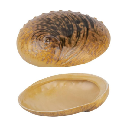 Салатник 365 мл 19*14,5 см h5 см Light Pearl Ammonite Shell Frutti di Mare - интернет-магазин КленМаркет.ру